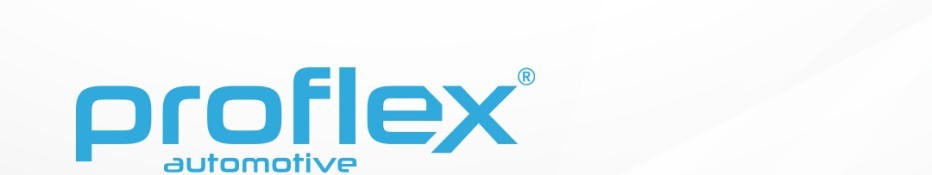 Proflex and RAP Brakes brands in Tec Doc